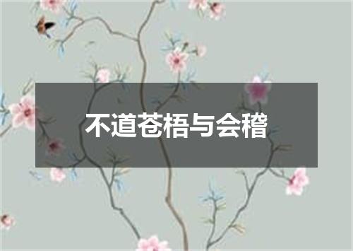 不道苍梧与会稽