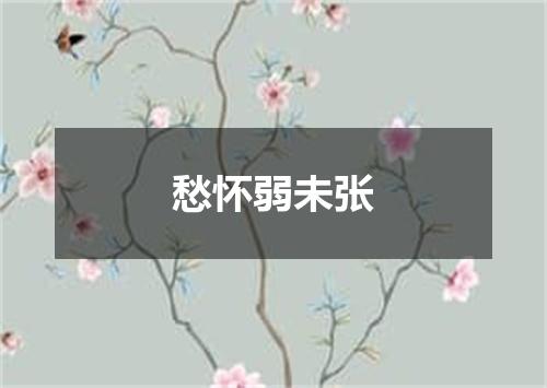 愁怀弱未张