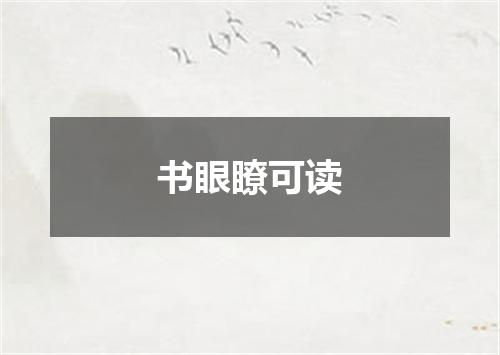 书眼瞭可读