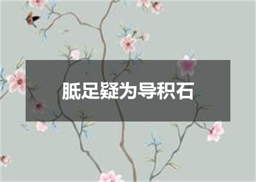 胝足疑为导积石