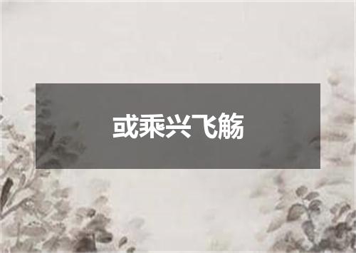 或乘兴飞觞