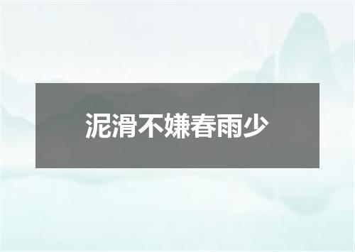 泥滑不嫌春雨少