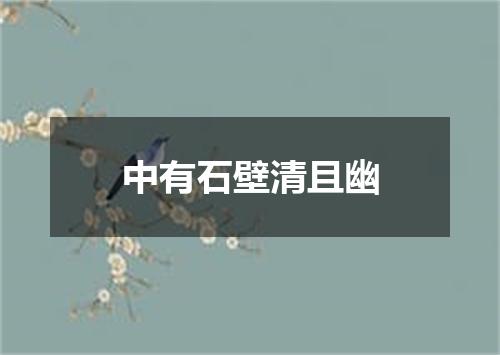 中有石壁清且幽
