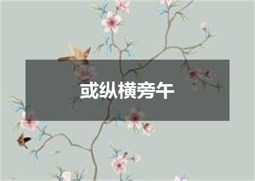或纵横旁午