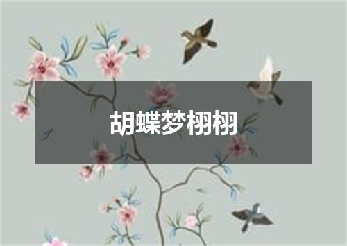 胡蝶梦栩栩