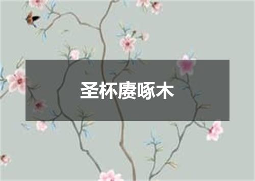 圣杯赓啄木