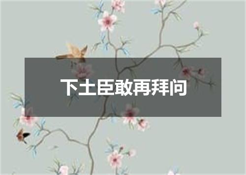 下土臣敢再拜问