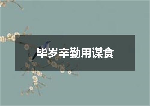 毕岁辛勤用谋食