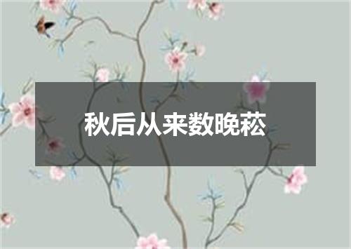秋后从来数晚菘