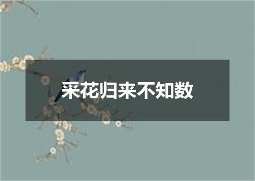 采花归来不知数