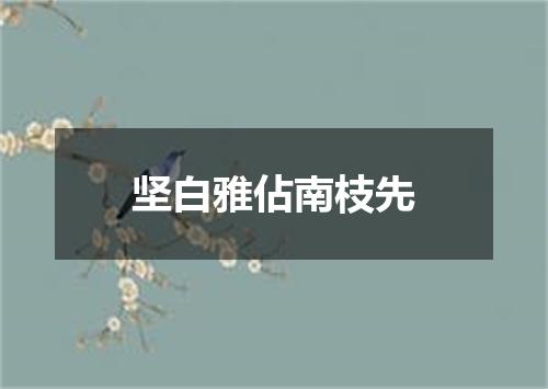 坚白雅佔南枝先