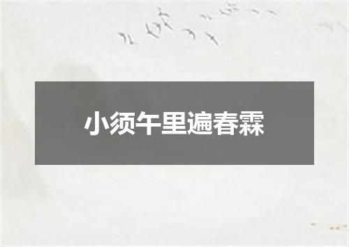小须午里遍春霖