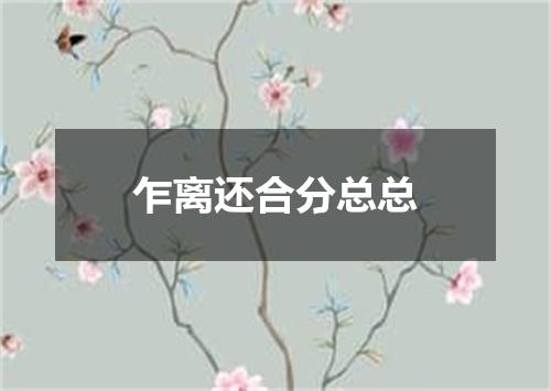乍离还合分总总