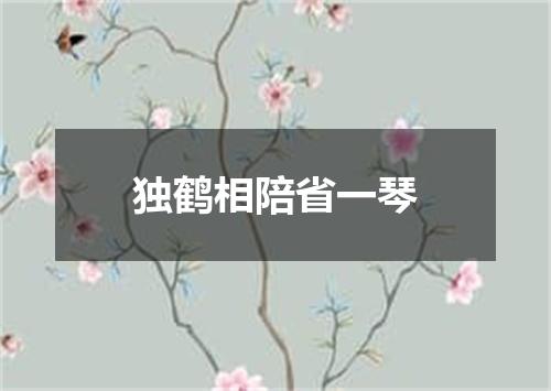 独鹤相陪省一琴