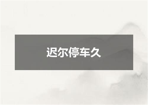 迟尔停车久
