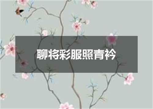 聊将彩服照青衿