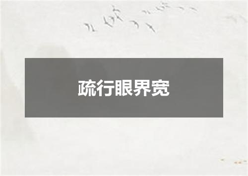 疏行眼界宽