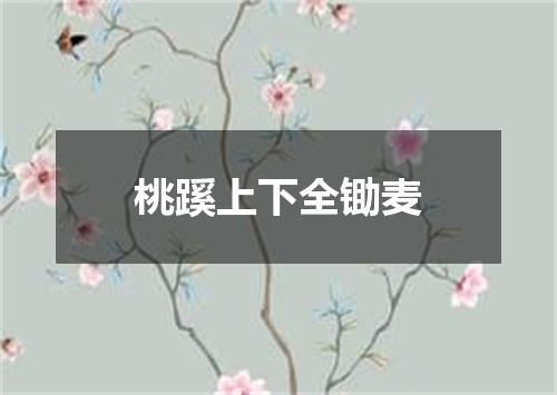 桃蹊上下全锄麦