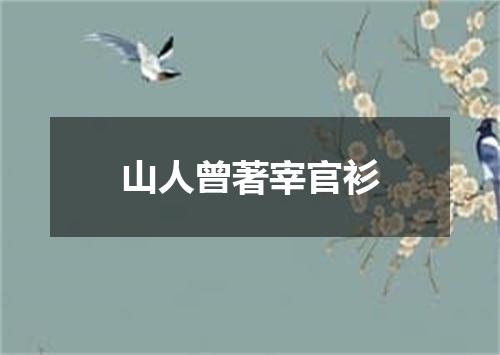 山人曾著宰官衫