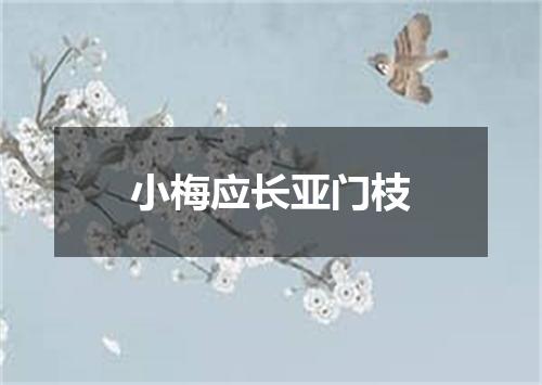 小梅应长亚门枝