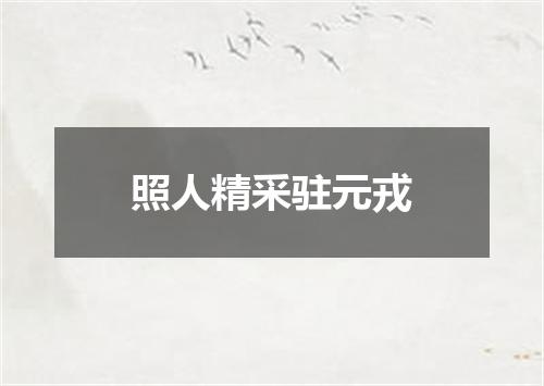 照人精采驻元戎