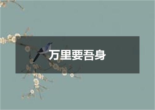 万里要吾身