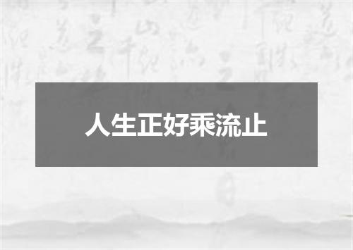人生正好乘流止