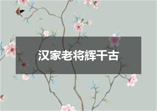 汉家老将辉千古