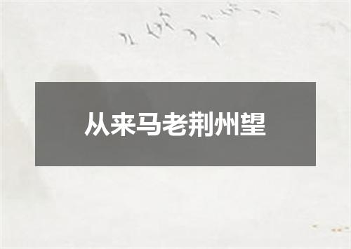 从来马老荆州望