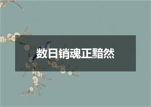 数日销魂正黯然