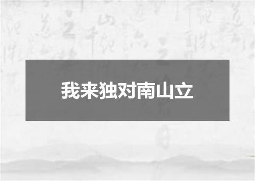 我来独对南山立