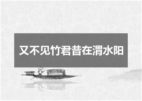 又不见竹君昔在渭水阳