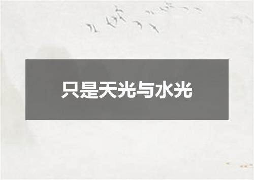 只是天光与水光