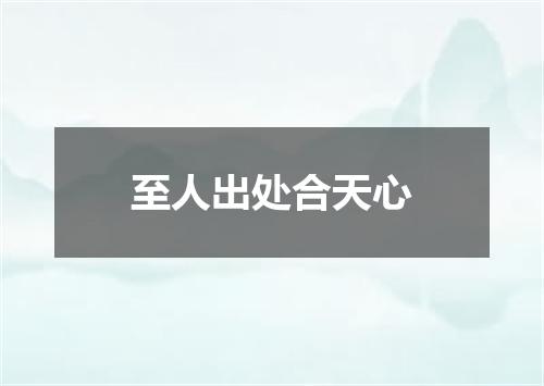 至人出处合天心