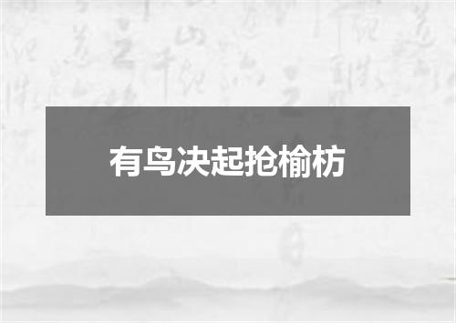有鸟决起抢榆枋