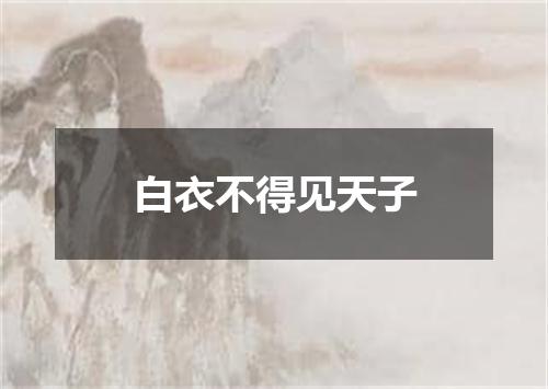 白衣不得见天子