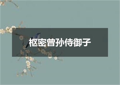 枢密曾孙侍御子