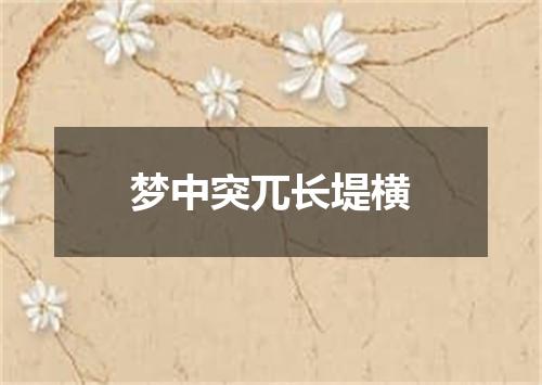 梦中突兀长堤横