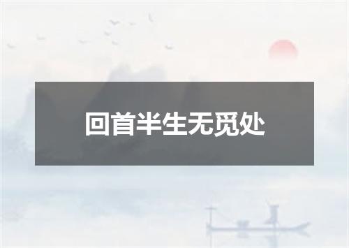 回首半生无觅处