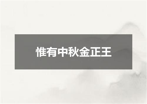 惟有中秋金正王