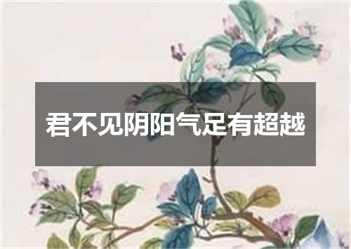 君不见阴阳气足有超越
