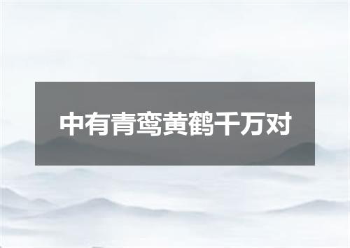 中有青鸾黄鹤千万对