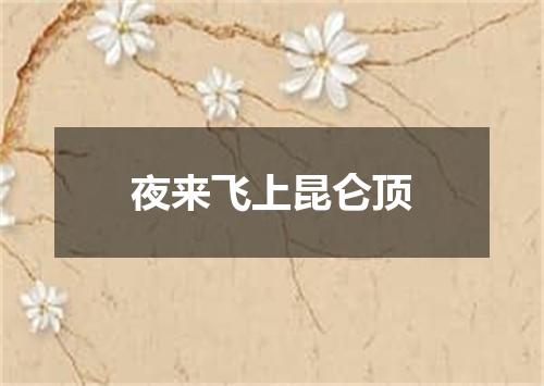 夜来飞上昆仑顶