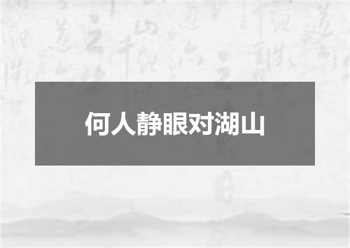 何人静眼对湖山