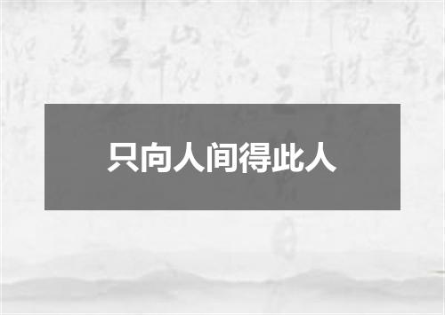 只向人间得此人