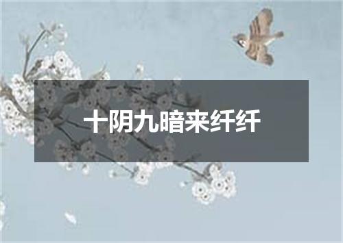 十阴九暗来纤纤