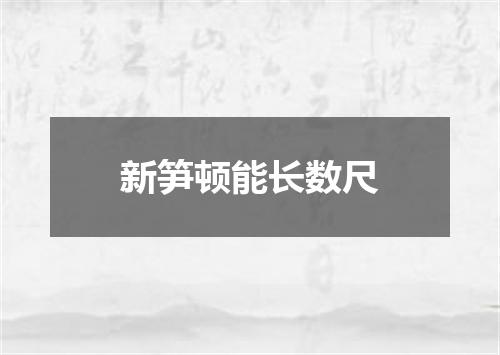 新笋顿能长数尺
