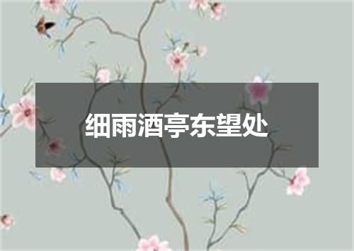 细雨酒亭东望处