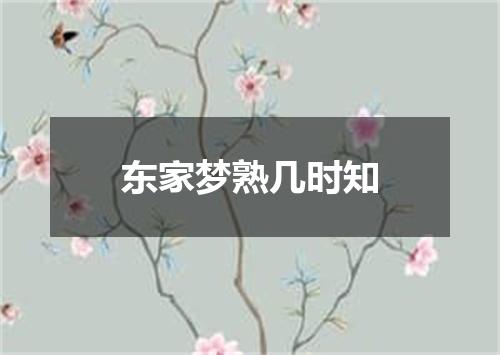 东家梦熟几时知