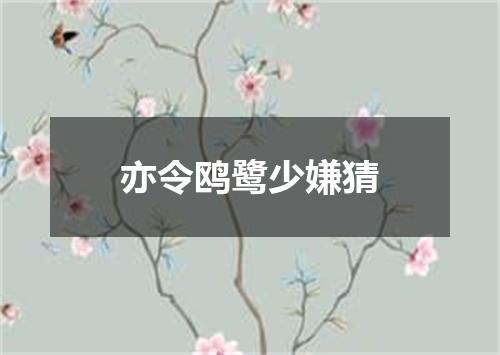 亦令鸥鹭少嫌猜